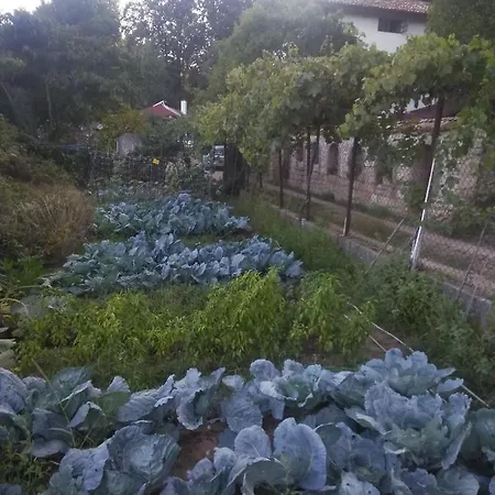 Penzion Nasco