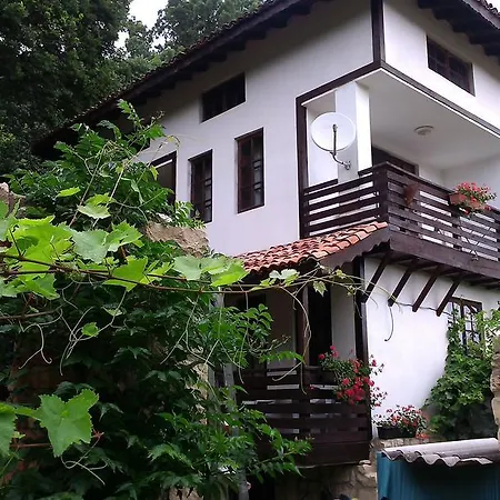 Nasco Zlate písky