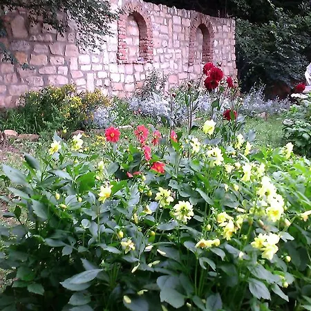 Penzion Nasco