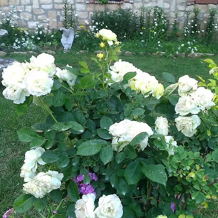 Penzion Nasco Zlate písky