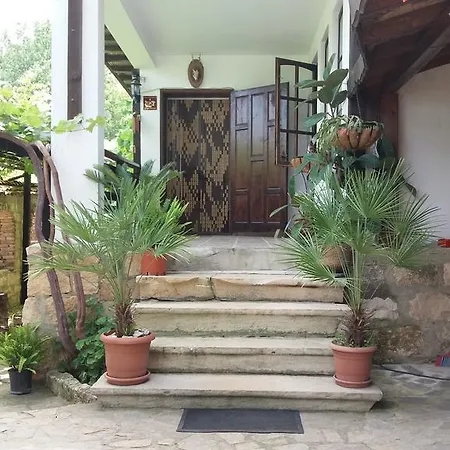 Nasco Zlate písky