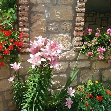 Guest house Nasco Golden Sands